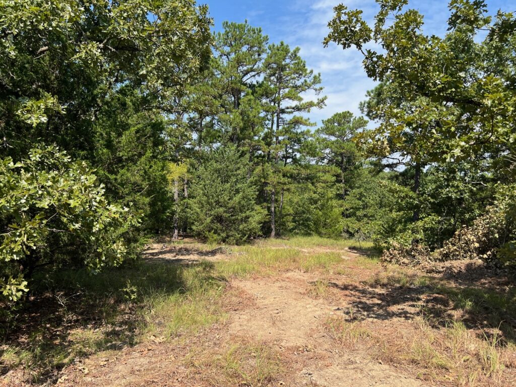 Property photo for land for sale in Pushmataha County Oklahoma