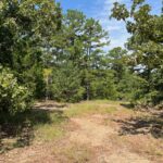 Property photo for land for sale in Pushmataha County Oklahoma