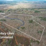 Property photo for land for sale in Henry County Virginia