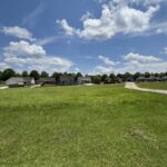Property photo for land for sale in Pike County Alabama
