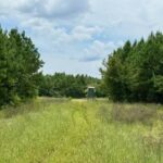 Property photo for land for sale in Lawrence County Mississippi