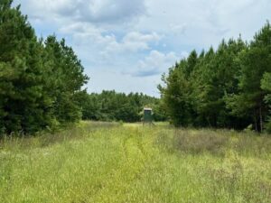 Property photo for land for sale in Lawrence County Mississippi