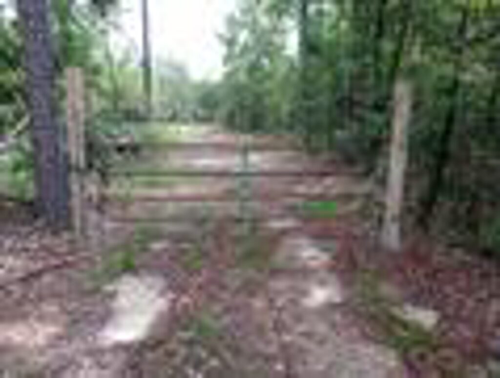 Property photo for land for sale in Covington County Alabama
