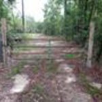 Property photo for land for sale in Covington County Alabama