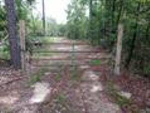 Property photo for land for sale in Covington County Alabama