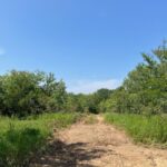 Property photo for land for sale in Pushmataha County Oklahoma