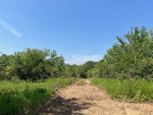 Property photo for land for sale in Pushmataha County Oklahoma