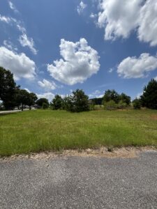 Property photo for land for sale in Pike County Alabama