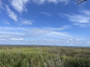 Property photo for land for sale in Carteret County North Carolina