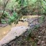 Property photo for land for sale in Covington County Alabama