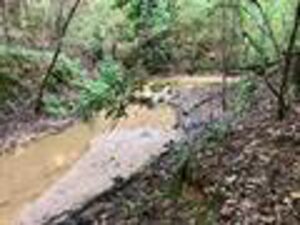 Property photo for land for sale in Covington County Alabama