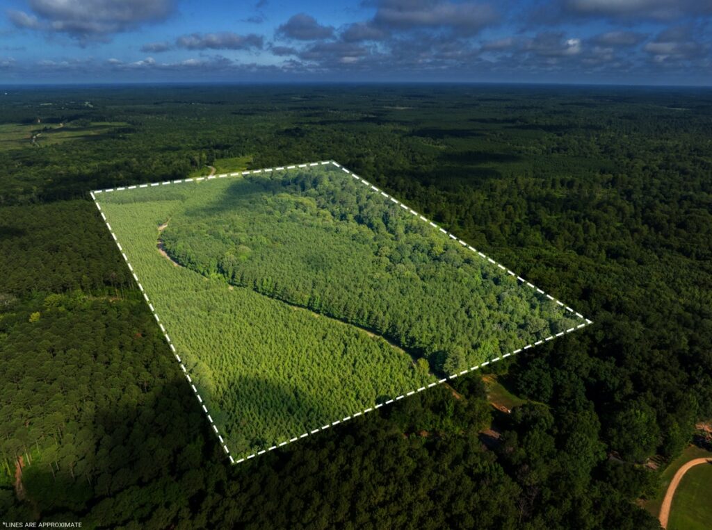 Property photo for land for sale in Union County Louisiana