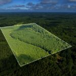 Property photo for land for sale in Union County Louisiana