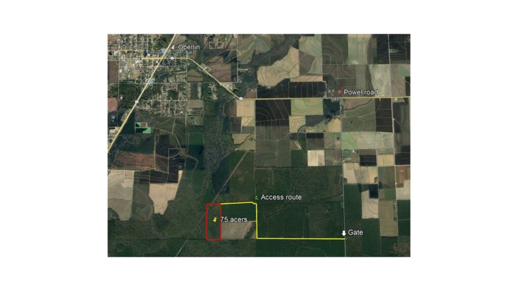 Property photo for land for sale in Allen County Louisiana