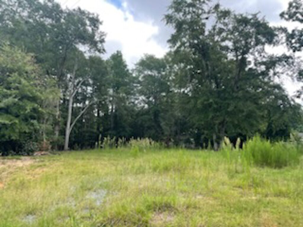 Property photo for land for sale in Chesterfield County South Carolina