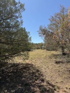 Property photo for land for sale in Yavapai County Arizona