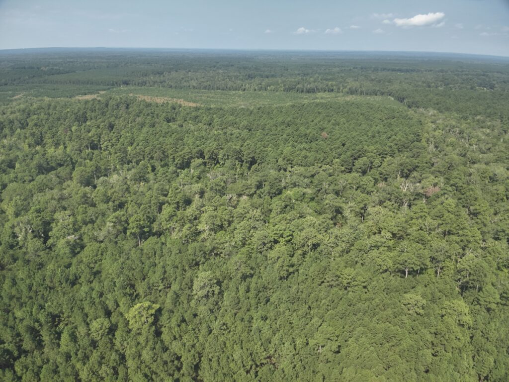 Property photo for land for sale in Ouachita County Arkansas