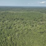 Property photo for land for sale in Ouachita County Arkansas