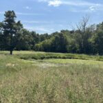 Property photo for land for sale in Reynolds County Missouri