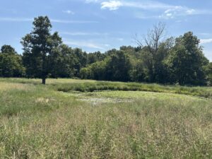Property photo for land for sale in Reynolds County Missouri