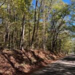 Property photo for land for sale in Pike County Mississippi