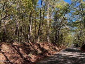 Property photo for land for sale in Pike County Mississippi