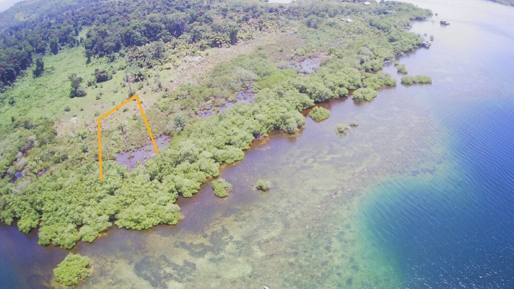 Property photo for land for sale in County Panama