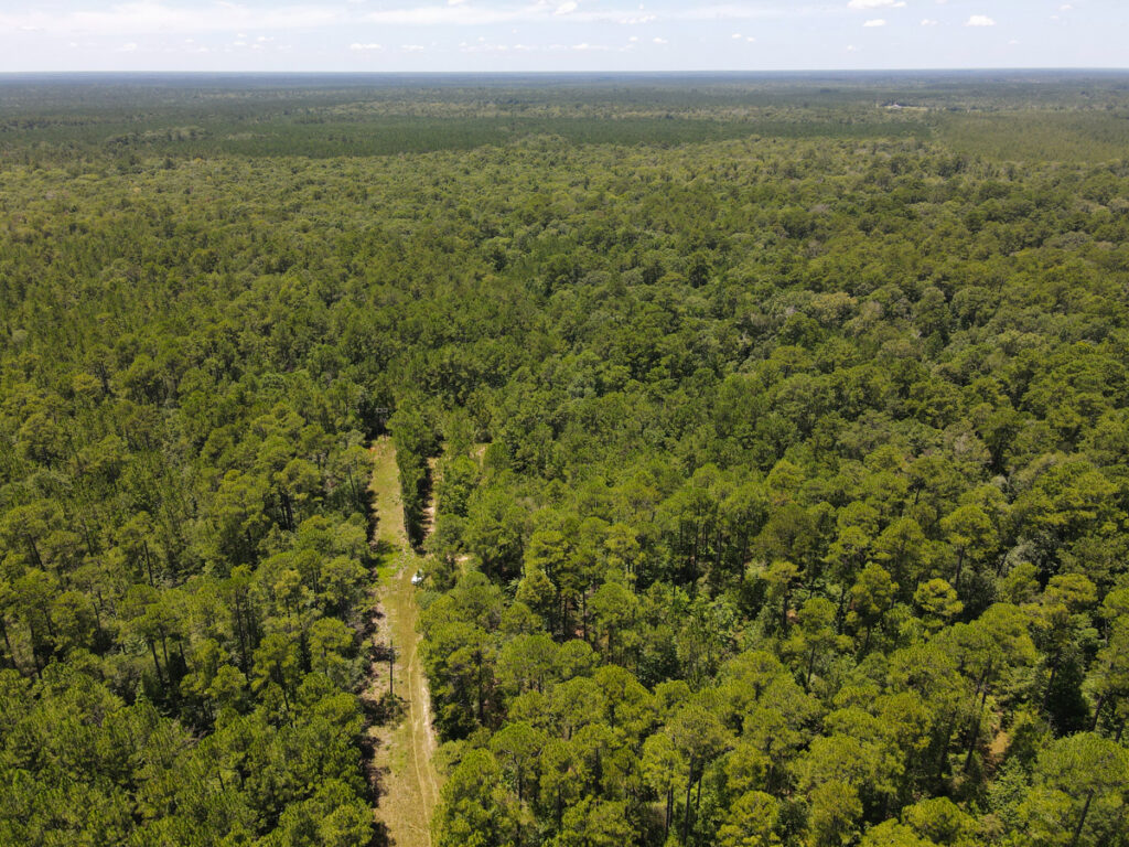 Property photo for land for sale in Hardin County Texas