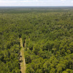 Property photo for land for sale in Hardin County Texas
