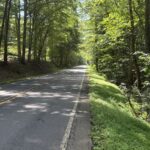 Property photo for land for sale in Albemarle County Virginia
