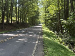 Property photo for land for sale in Albemarle County Virginia
