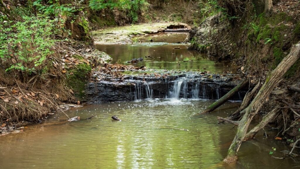 Property photo for land for sale in Catahoula County Louisiana