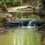 Property photo for land for sale in Catahoula County Louisiana