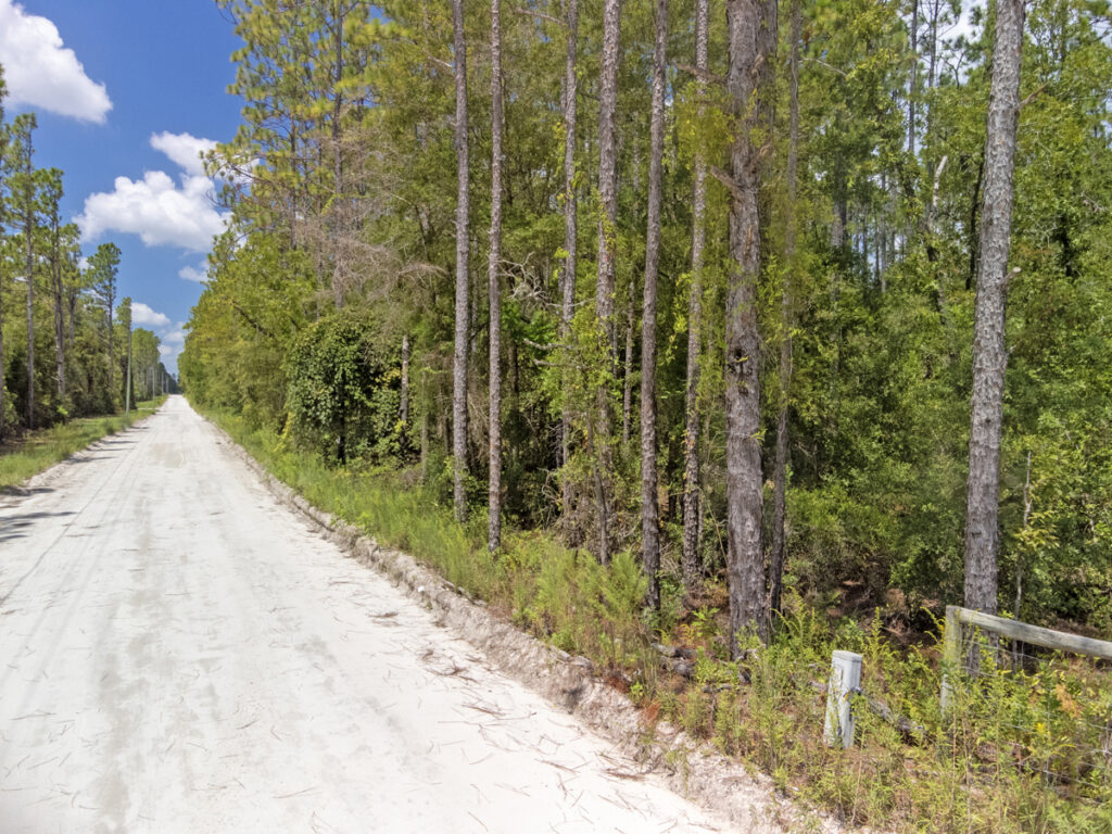 Property photo for land for sale in Gilchrist County Florida