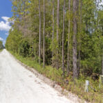 Property photo for land for sale in Gilchrist County Florida