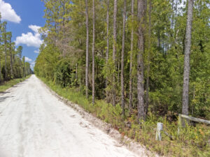 Property photo for land for sale in Gilchrist County Florida