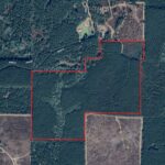 Property photo for land for sale in Union County Louisiana