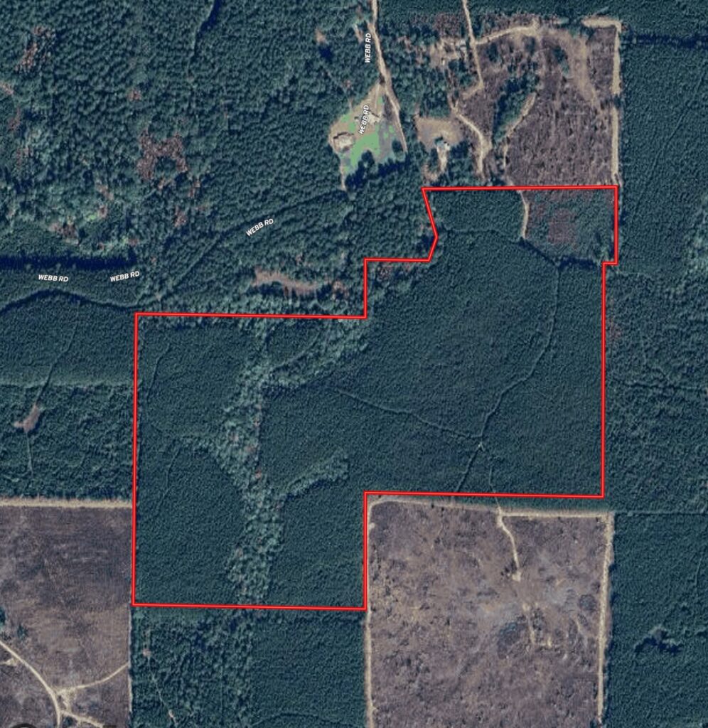 Property photo for land for sale in Union County Louisiana