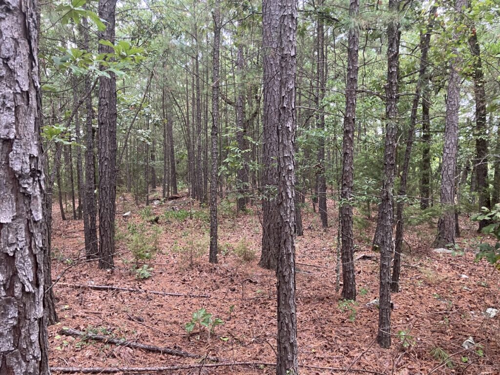 Property photo for land for sale in Le Flore County Oklahoma