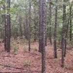 Property photo for land for sale in Le Flore County Oklahoma