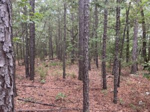 Property photo for land for sale in Le Flore County Oklahoma