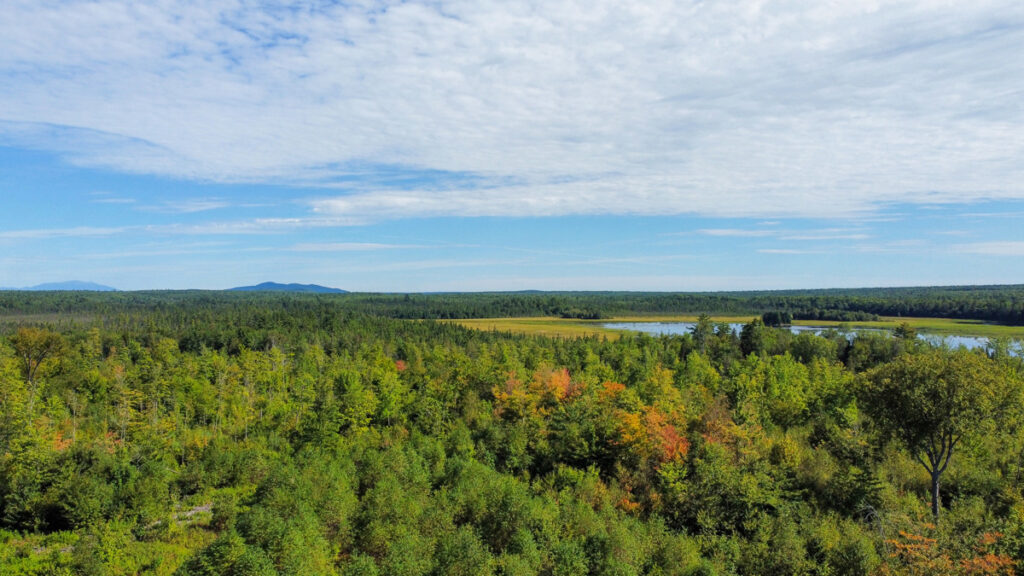 Property photo for land for sale in Penobscot County Maine