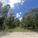 Property photo for land for sale in Gilchrist County Florida
