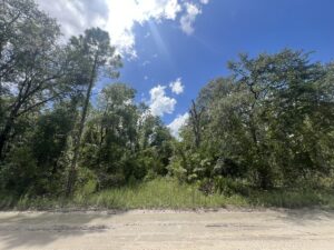 Property photo for land for sale in Gilchrist County Florida