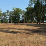 Property photo for land for sale in Bowie County Texas