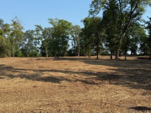 Property photo for land for sale in Bowie County Texas