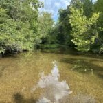 Property photo for land for sale in Perry County Tennessee