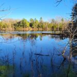 Property photo for land for sale in Smith County Texas