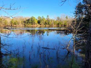 Property photo for land for sale in Smith County Texas