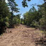 Property photo for land for sale in Pushmataha County Oklahoma